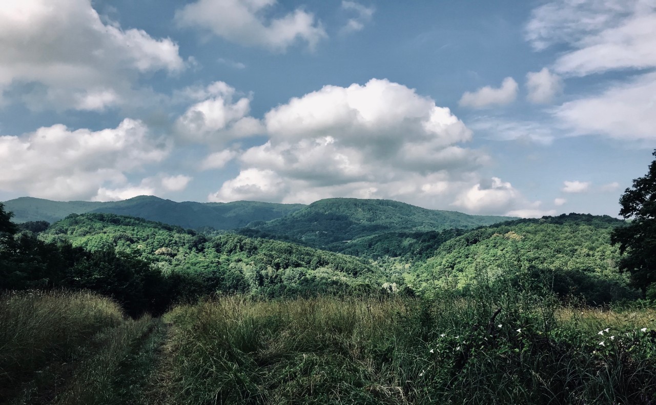 put-malih-koraka-haris-alibegovic-medvednica-IMG_7416